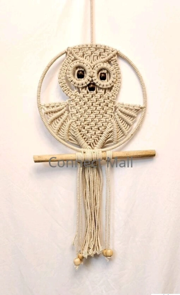 Priva Arts Premium Macrame Owl Handmade Cotton Rope Wall Hanging, Wall Decor For Home , living Room (Off-White) - Free Size, Off White, Handicraft, Toran, Pack of1